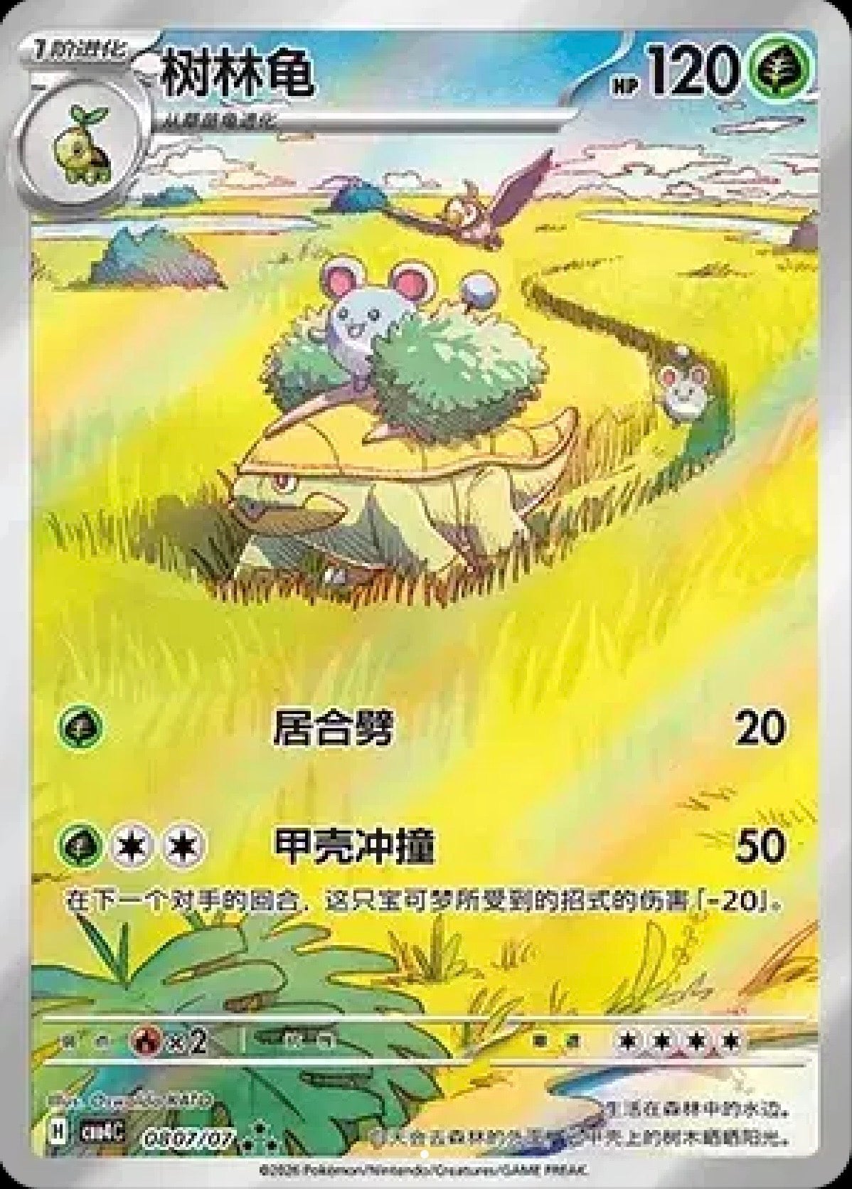 Grotle: Full Art Holofoil (CN) 0807/07