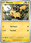 Pikachu: Common 055/217 (ASC)