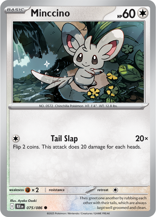 Minccino: Common 075/086 (BLK)