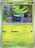 Lotad: Common 005/094 (PFL)