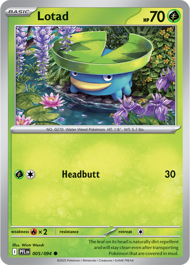 Lotad: Common 005/094 (PFL)
