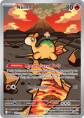 Numel: Illustration Rare 223/217 (ASC)