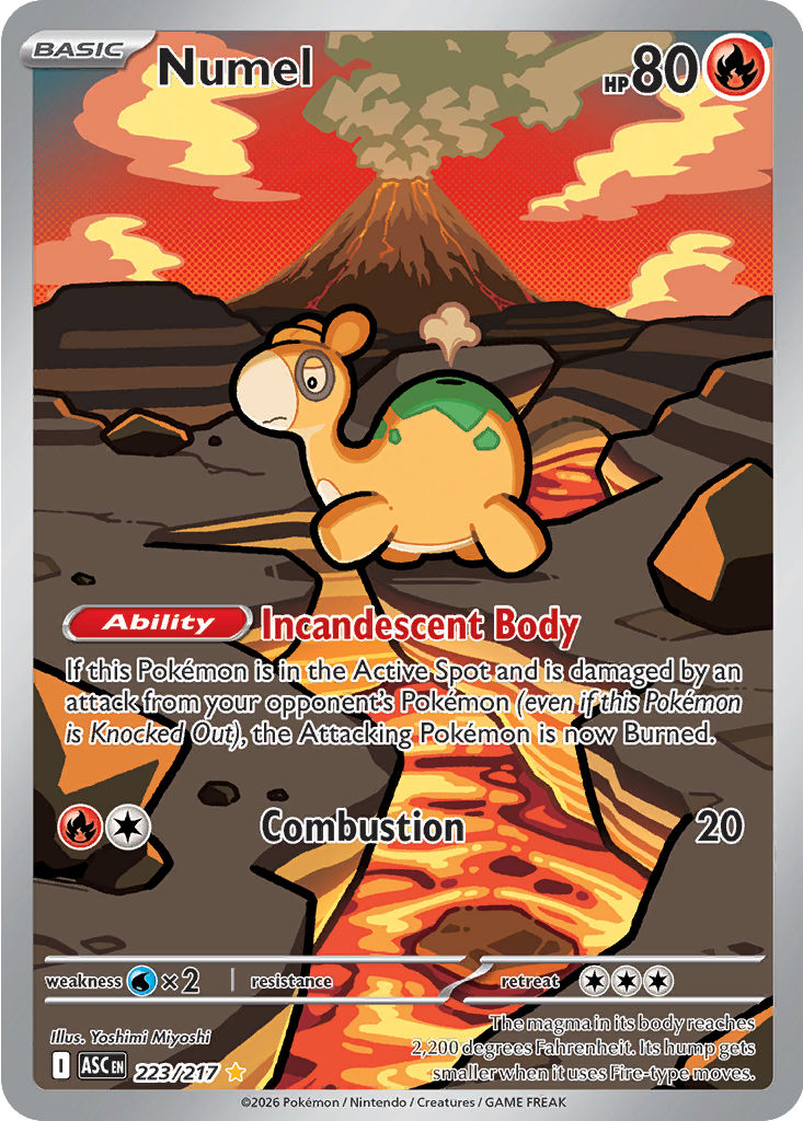 Numel: Illustration Rare 223/217 (ASC)